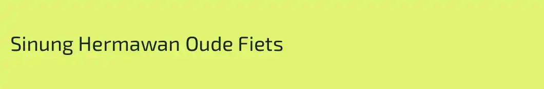 Sinung Hermawan Oude Fiets
